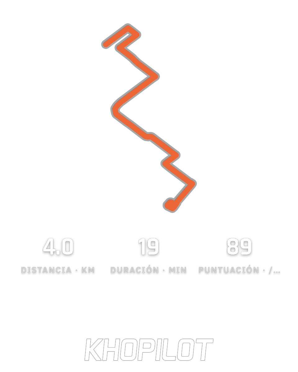 Tu ruta y tus estadísticas en una tarjeta para compartir.